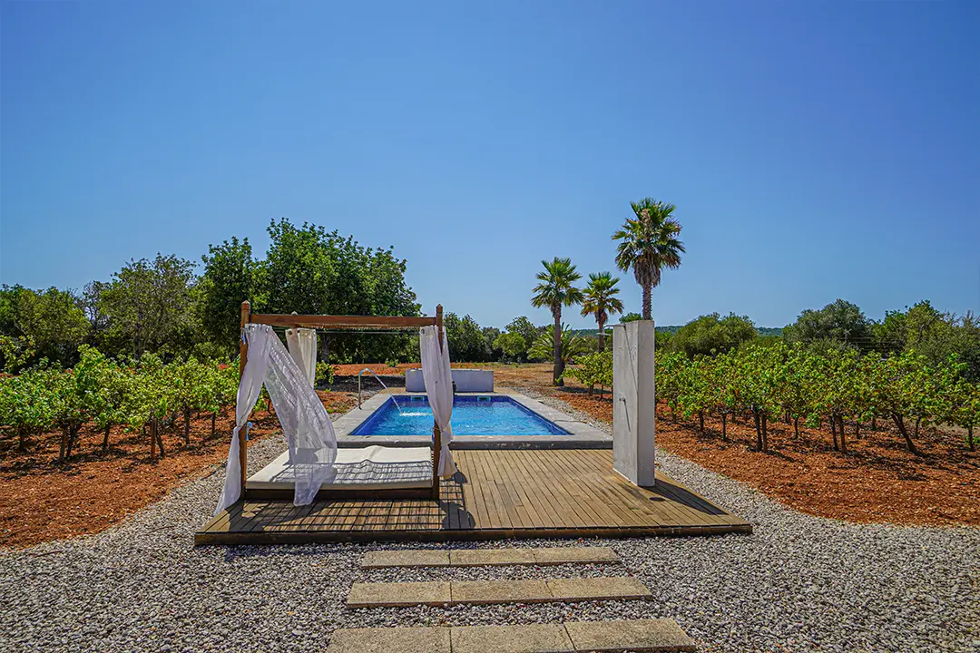 Pool der Finca Mia Limon mit Himmelbett, Palmen und Weinreben